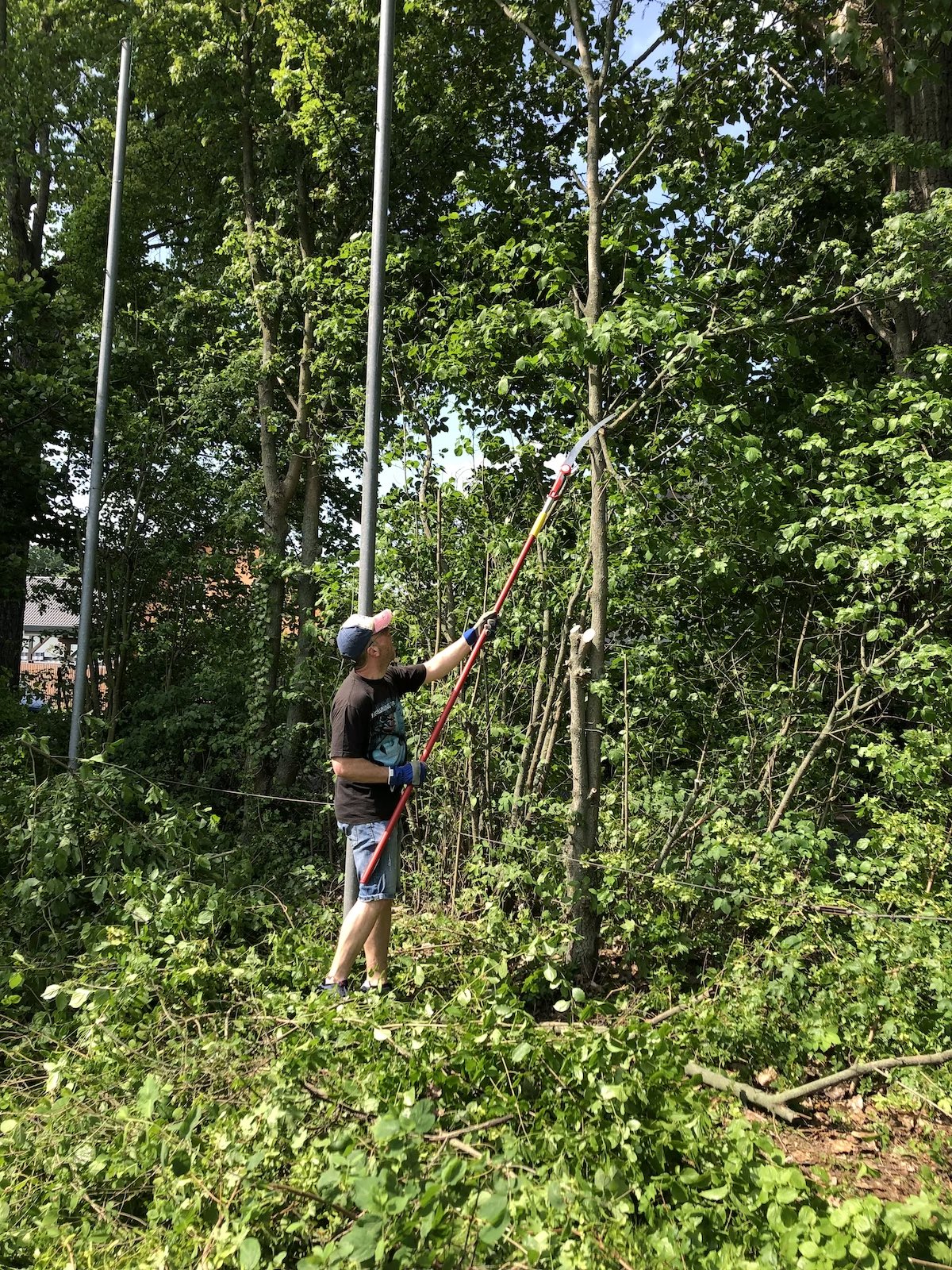 Arbeit mit der Astsäge im Baumbestand.